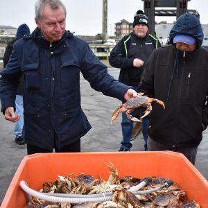 Westport Dungeness Crabs